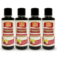 Khadi Pure Herbal Amla & Reetha Shampoo SLS-Paraben Free - 210ml (Set of 4)