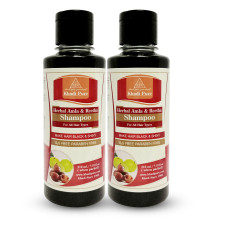 Khadi Pure Herbal Amla & Reetha Shampoo SLS-Paraben Free - 210ml (Set of 2)